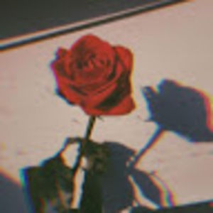 Meet your Posher, Aleshanee jade